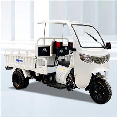 Farm Tricycle Freight Cargo Motorcycle