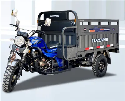 Hot-Selling Rear Axle Heavy Duty Load Tricycle (SL200ZH-C)