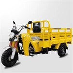 Petrol Tricycle Price Motorcycle