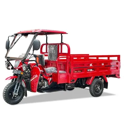 Popular Cargo Tricycle Passenger Threewheel Motorcycle Parts