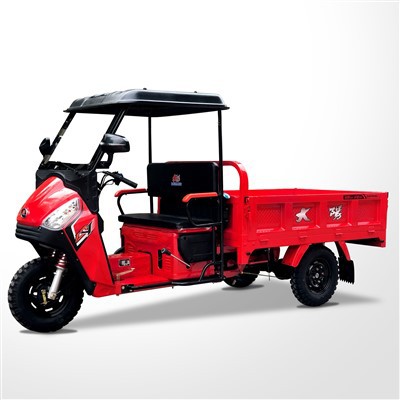 Selling Cargo Petrol Motor Tricycle 2024