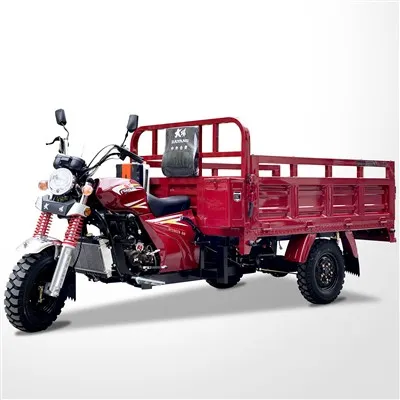 Three Wheel 200cc Engine Gasoline Tricycle