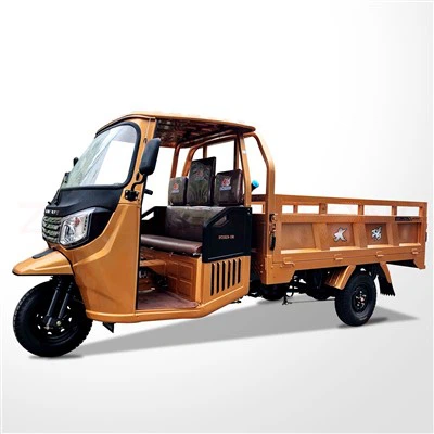 Tricycles Cargo Truck Big Wheel Tricycle