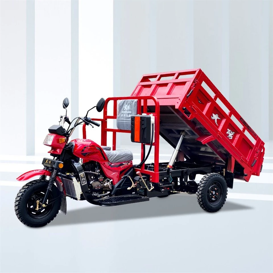 Transport Loader Petrol Threewheeler Cargo Bike