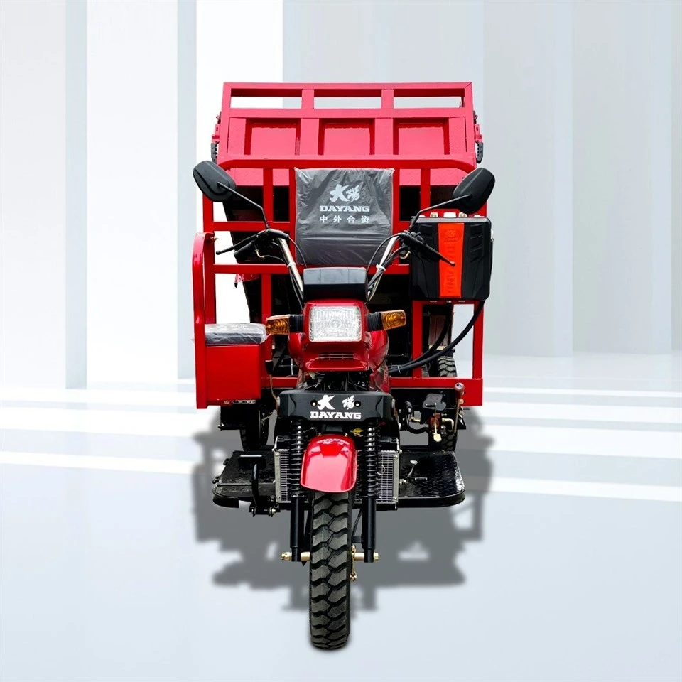 Transport Loader Petrol Threewheeler Cargo Bike