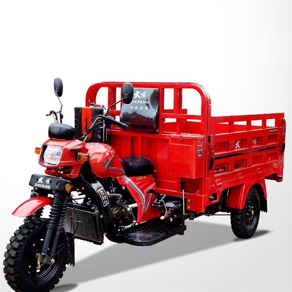 Versatile Gasoline Tricycle Designe